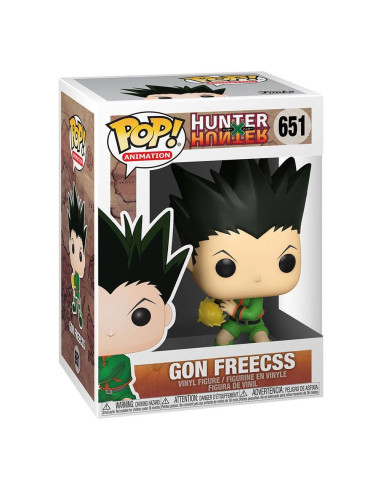 FUNKO POP HUNTERx HUNTER GON FREECSS