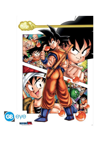 POSTER DRAGON BALL SON GOKU STORY 61x91cm