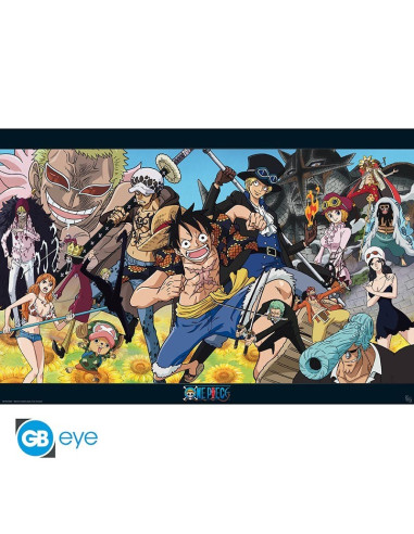 POSTER ONE PIECE DRESSROSA 61x91cm