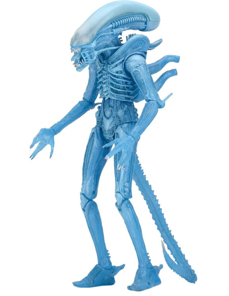 FIGURA NECA ALIEN WARRIOR ALIEN