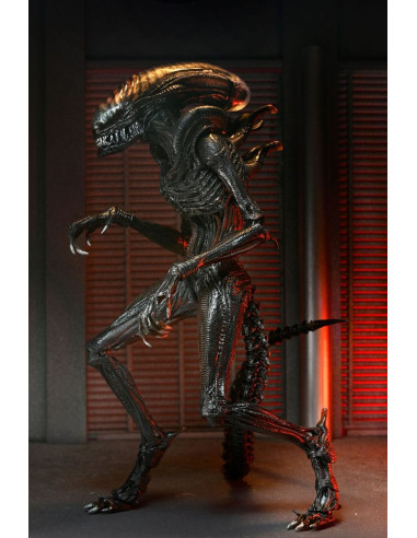 FIGURA NECA REEL TOYS ALIEN ROMULUS ULTIMATE SCORCHED XENOMORPH