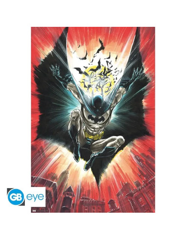 POSTER DC BATMAN WARNER 100th 61x91cm
