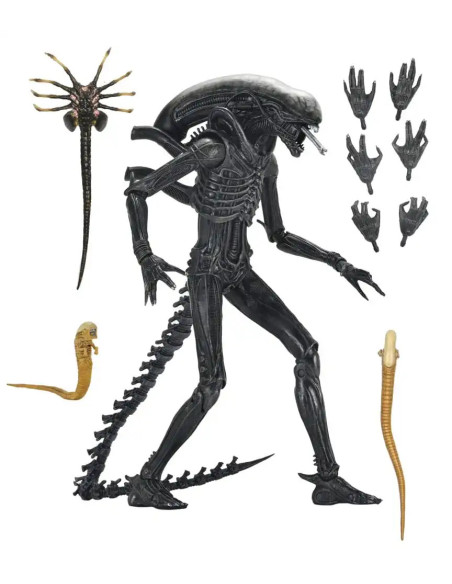 FIGURA NECA REELTOYS ALIEN ROMULUS ULTIMATE XENOMORPH XX121