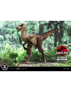 Jurassic Park Estatua Prime Collectibles 1/10 Velociraptor Open Mouth 19 cm
