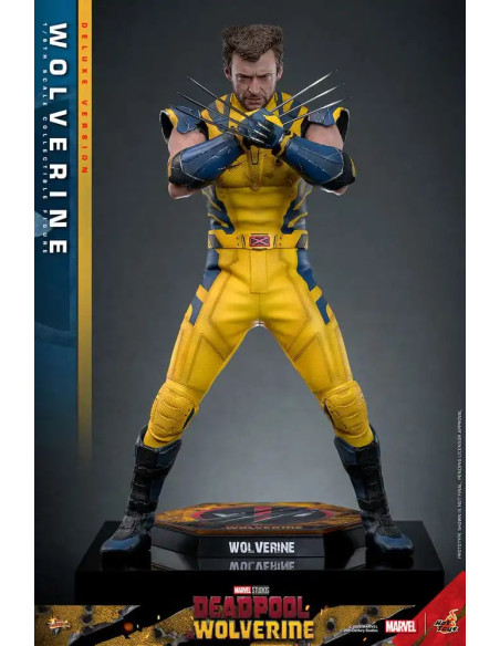 FIGURA ARTICULADA HOT TOYS MARVEL Deadpool & Wolverine Movie Masterpiece Figura 1/6 WOLVERINE (Deluxe Version) 31 cm