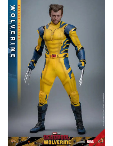 FIGURA ARTICULADA HOT TOYS MARVEL Deadpool & Wolverine Movie Masterpiece Figura 1/6 WOLVERINE (Deluxe Version) 31 cm