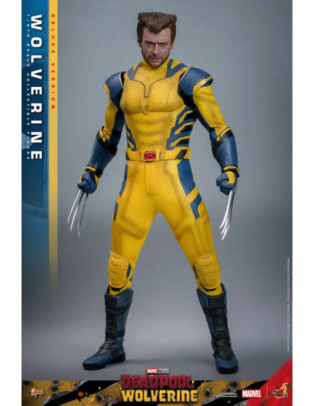 FIGURA ARTICULADA HOT TOYS MARVEL Deadpool & Wolverine Movie Masterpiece Figura 1/6 WOLVERINE (Deluxe Version) 31 cm