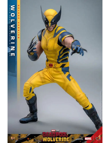 FIGURA ARTICULADA HOT TOYS MARVEL Deadpool & Wolverine Movie Masterpiece Figura 1/6 WOLVERINE (Deluxe Version) 31 cm