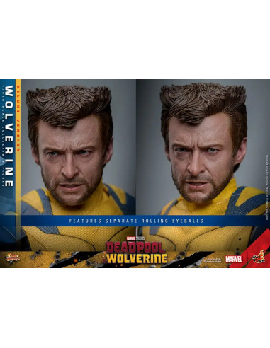 FIGURA ARTICULADA HOT TOYS MARVEL Deadpool & Wolverine Movie Masterpiece Figura 1/6 WOLVERINE (Deluxe Version) 31 cm