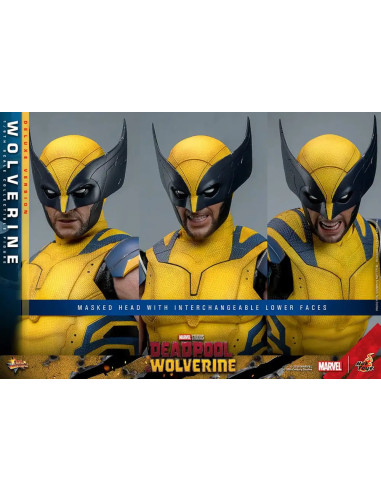 FIGURA ARTICULADA HOT TOYS MARVEL Deadpool & Wolverine Movie Masterpiece Figura 1/6 WOLVERINE (Deluxe Version) 31 cm