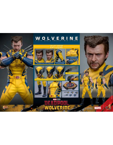 FIGURA ARTICULADA HOT TOYS MARVEL Deadpool & Wolverine Movie Masterpiece Figura 1/6 WOLVERINE (Deluxe Version) 31 cm