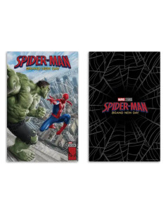 FIGURA MARVEL McFARLANE TOYS Spider-Man: Brand New Day (2026) HULK 28cm 2