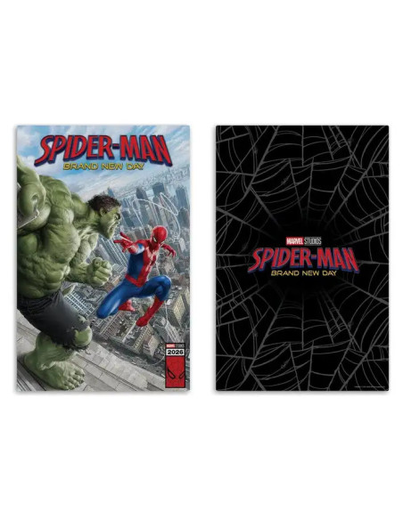 FIGURA MARVEL McFARLANE TOYS Spider-Man: Brand New Day (2026) HULK 28cm